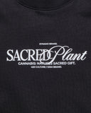 Camiseta Oversize Holy Scene