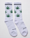 Media Garden Of Eden – Edición 420