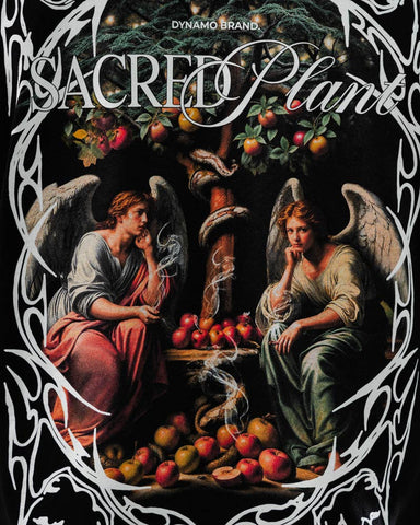 Camiseta Oversize Sacred Plant